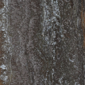 Untitled design Takab travertine,code10034